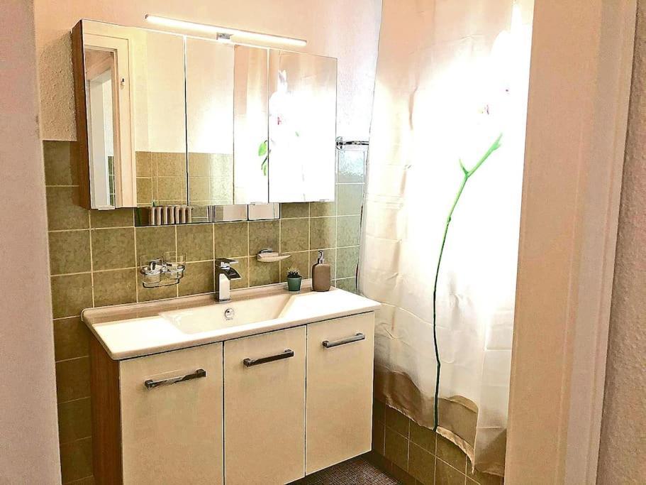 Inn Joy Apartments - Rorschach Mit Panoramasicht Екстер'єр фото