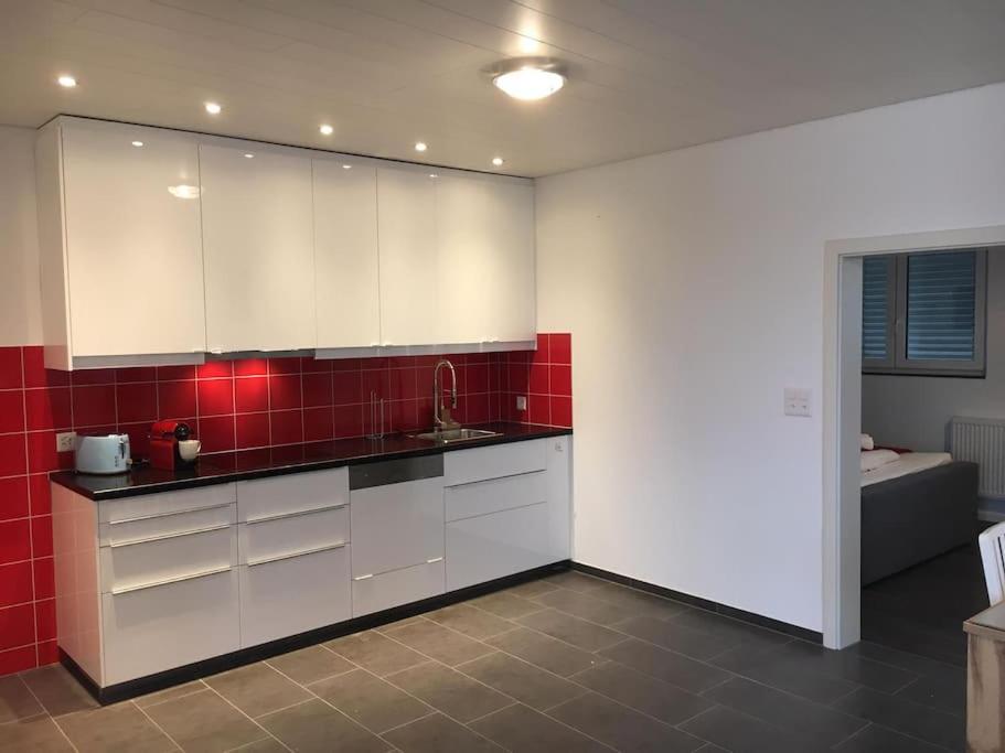 Inn Joy Apartments - Rorschach Mit Panoramasicht Екстер'єр фото